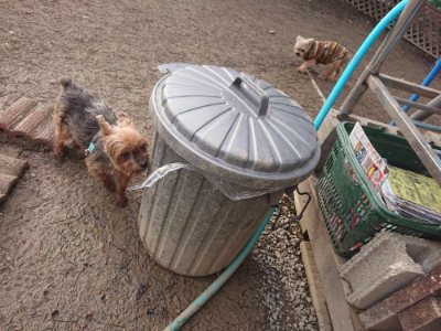 f:id:roukenhome-ann:20190124195938j:plain
