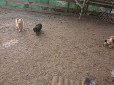 f:id:roukenhome-ann:20190124195944j:plain