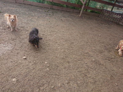 f:id:roukenhome-ann:20190124195950j:plain