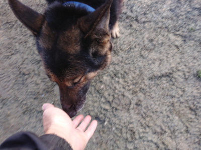 f:id:roukenhome-ann:20190124200333j:plain