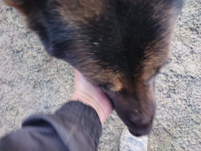 f:id:roukenhome-ann:20190124200341j:plain