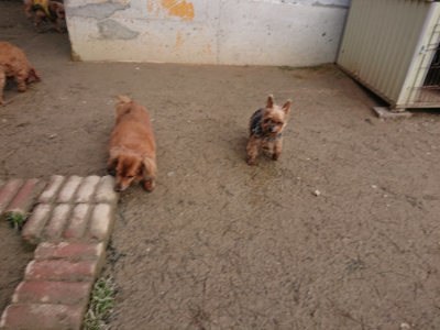 f:id:roukenhome-ann:20190124200643j:plain