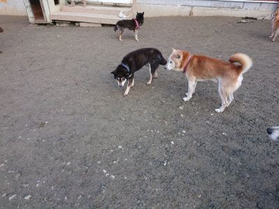 f:id:roukenhome-ann:20190124200654j:plain