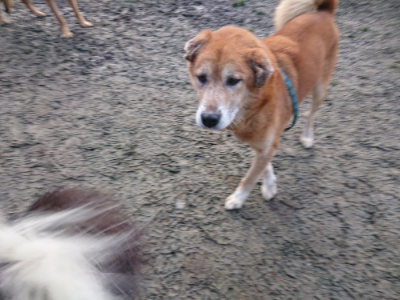 f:id:roukenhome-ann:20190124200911j:plain