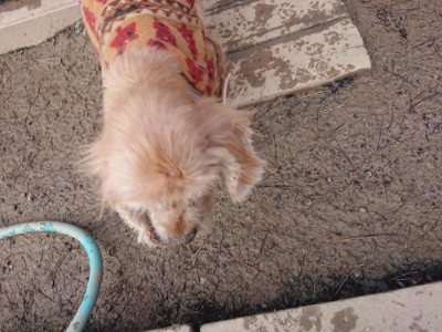 f:id:roukenhome-ann:20190124200932j:plain