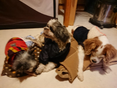 f:id:roukenhome-ann:20190124200952j:plain