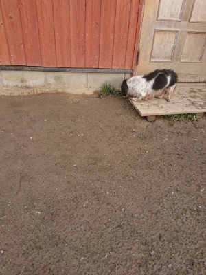 f:id:roukenhome-ann:20190124201034j:plain