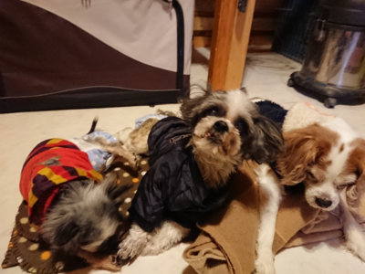 f:id:roukenhome-ann:20190124201100j:plain