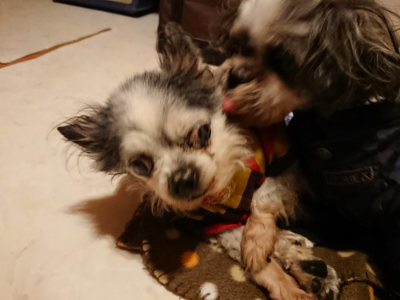 f:id:roukenhome-ann:20190124201124j:plain