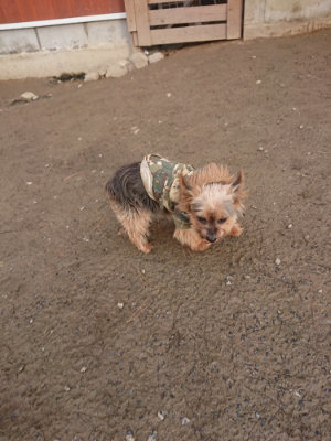 f:id:roukenhome-ann:20190124201141j:plain