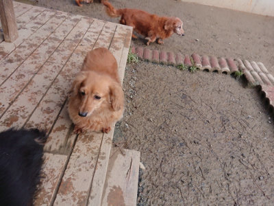 f:id:roukenhome-ann:20190124203048j:plain
