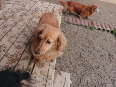 f:id:roukenhome-ann:20190124203055j:plain
