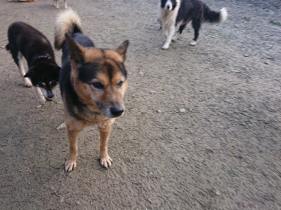 f:id:roukenhome-ann:20190124203101j:plain
