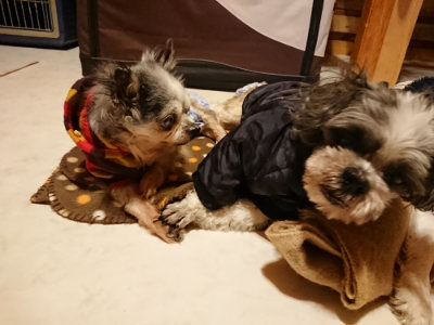 f:id:roukenhome-ann:20190124203106j:plain