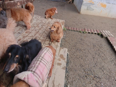 f:id:roukenhome-ann:20190124203153j:plain