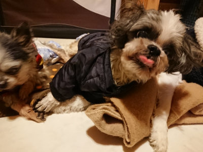 f:id:roukenhome-ann:20190124203237j:plain