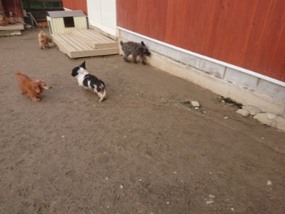 f:id:roukenhome-ann:20190124203242j:plain
