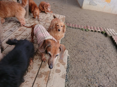 f:id:roukenhome-ann:20190124203410j:plain