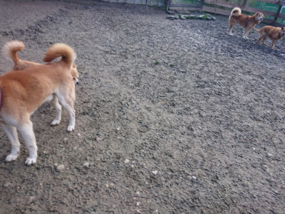 f:id:roukenhome-ann:20190124203443j:plain