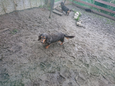 f:id:roukenhome-ann:20190124203515j:plain