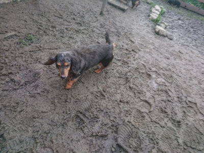 f:id:roukenhome-ann:20190124203523j:plain