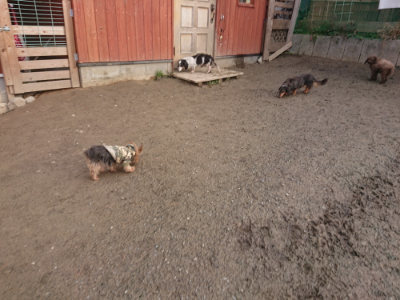 f:id:roukenhome-ann:20190124203645j:plain