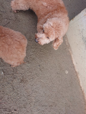 f:id:roukenhome-ann:20190124203651j:plain