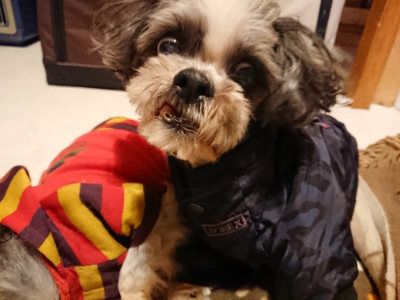f:id:roukenhome-ann:20190124203713j:plain