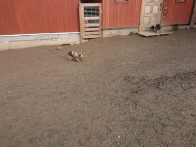 f:id:roukenhome-ann:20190124203718j:plain