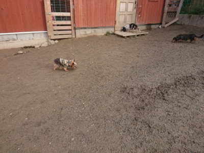 f:id:roukenhome-ann:20190124203724j:plain
