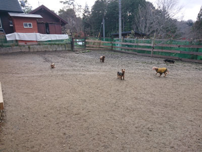 f:id:roukenhome-ann:20190125044031j:plain