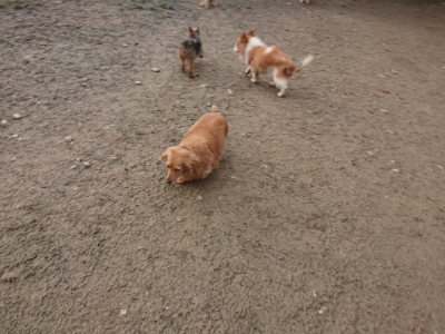 f:id:roukenhome-ann:20190125044041j:plain