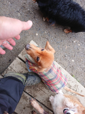 f:id:roukenhome-ann:20190125044143j:plain