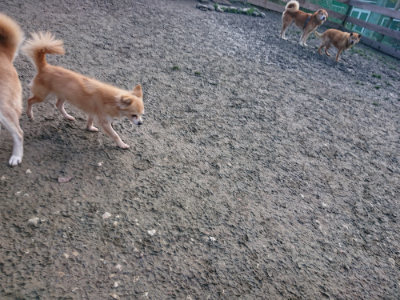 f:id:roukenhome-ann:20190125044204j:plain