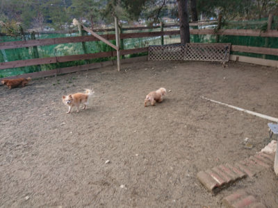 f:id:roukenhome-ann:20190125044750j:plain