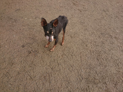 f:id:roukenhome-ann:20190125044805j:plain