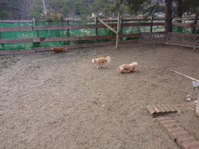 f:id:roukenhome-ann:20190125044809j:plain