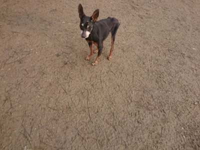 f:id:roukenhome-ann:20190125044830j:plain