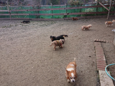 f:id:roukenhome-ann:20190125044835j:plain
