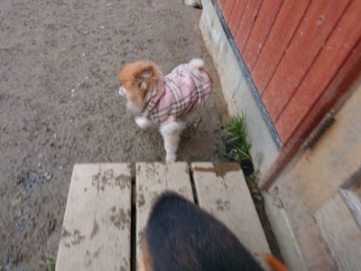 f:id:roukenhome-ann:20190125044845j:plain