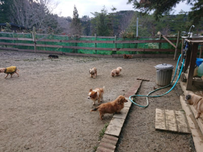 f:id:roukenhome-ann:20190125044926j:plain