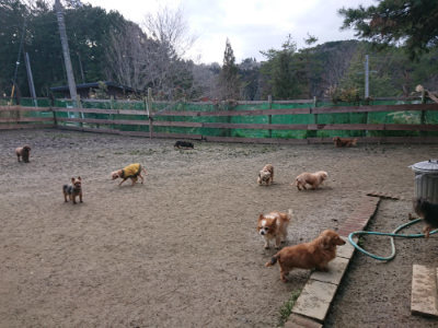 f:id:roukenhome-ann:20190125044941j:plain