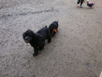 f:id:roukenhome-ann:20190125045023j:plain