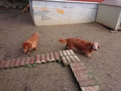 f:id:roukenhome-ann:20190125045032j:plain