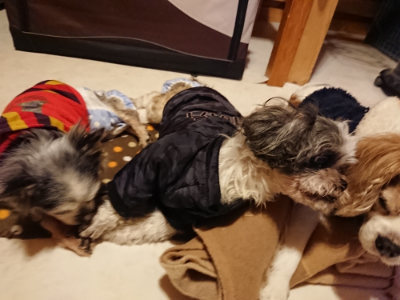 f:id:roukenhome-ann:20190125045041j:plain