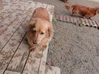 f:id:roukenhome-ann:20190125045050j:plain