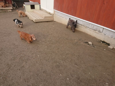 f:id:roukenhome-ann:20190125045114j:plain