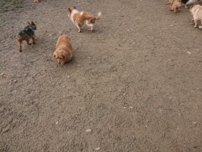 f:id:roukenhome-ann:20190125045140j:plain