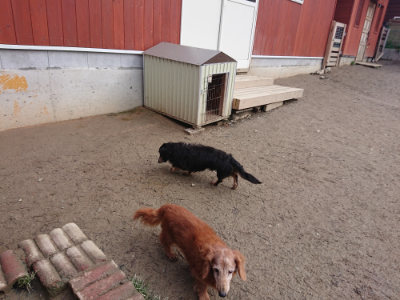 f:id:roukenhome-ann:20190125050258j:plain