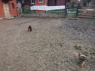 f:id:roukenhome-ann:20190125050329j:plain